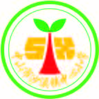沙溪镇中心小学中绿